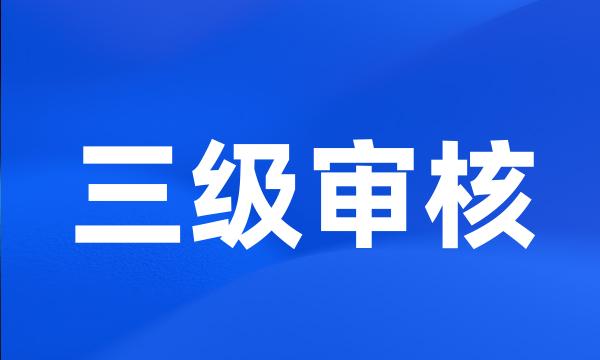 三级审核