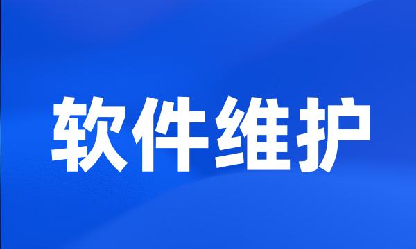 软件维护