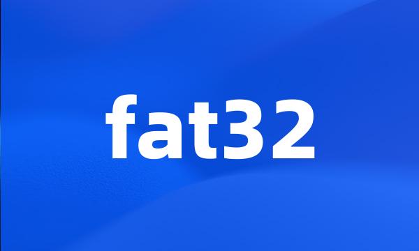 fat32