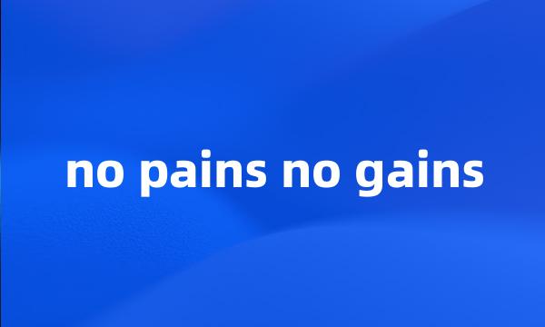 no pains no gains