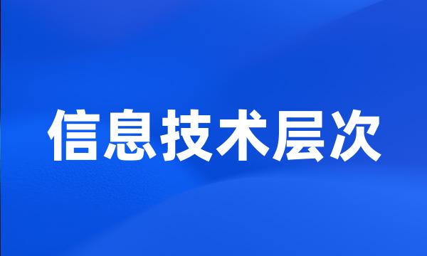 信息技术层次