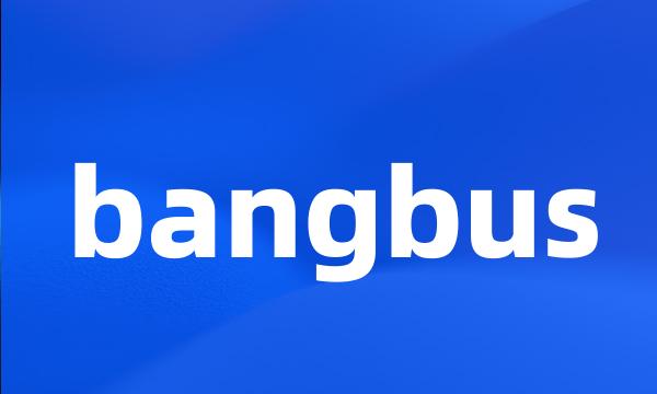 bangbus