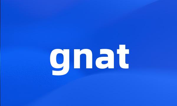 gnat