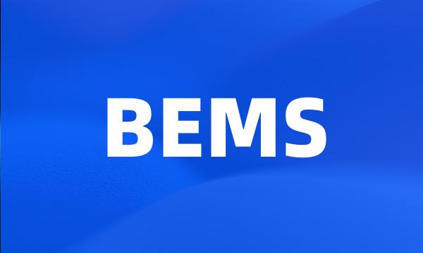 BEMS