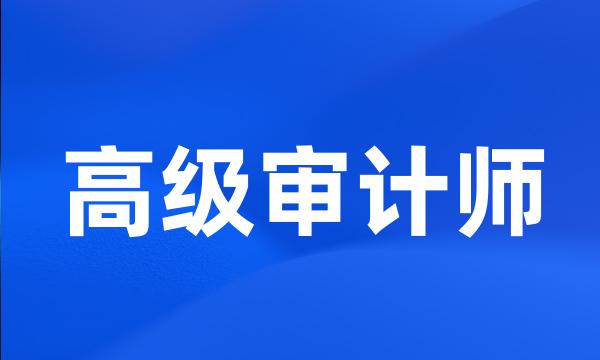 高级审计师