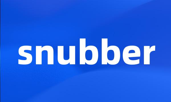 snubber