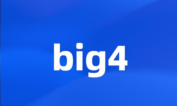 big4