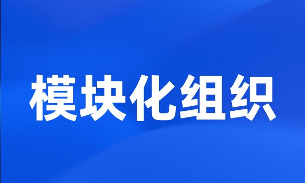 模块化组织