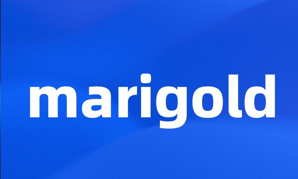 marigold