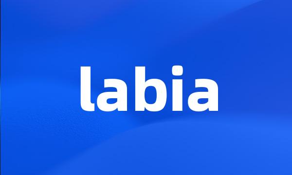 labia