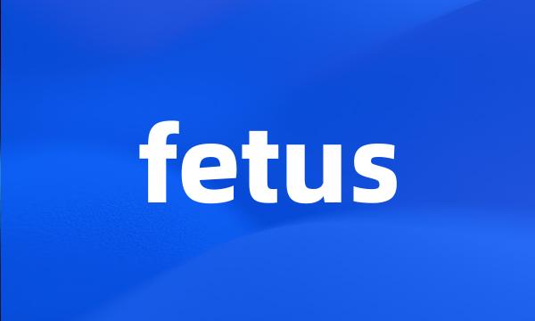 fetus