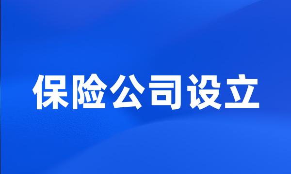 保险公司设立