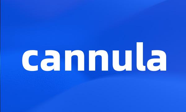 cannula