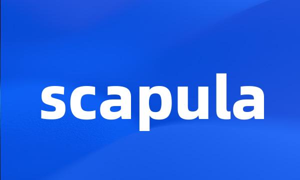 scapula