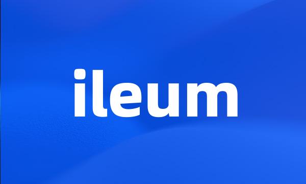 ileum