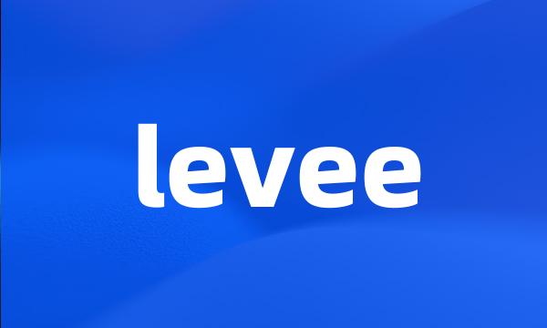 levee