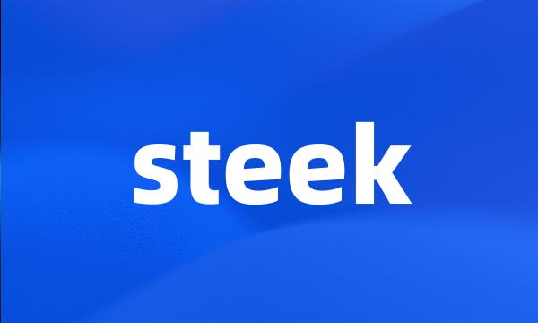 steek