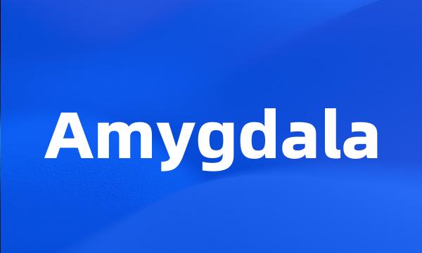 Amygdala