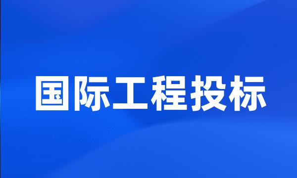 国际工程投标