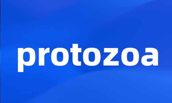 protozoa