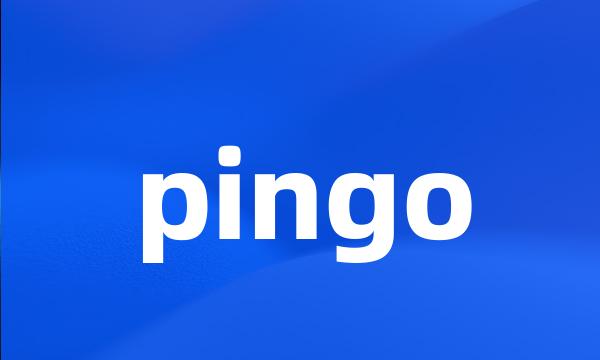 pingo