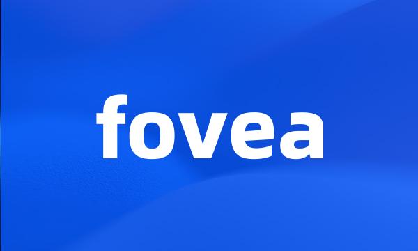 fovea