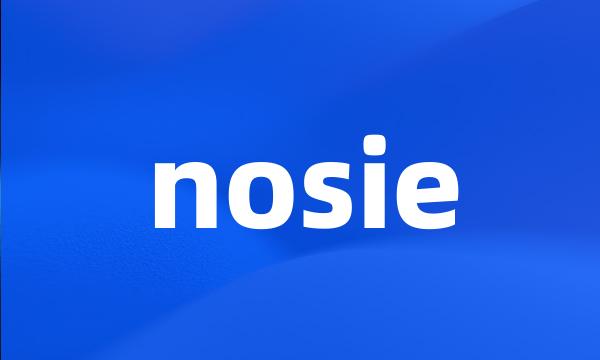 nosie