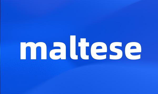 maltese