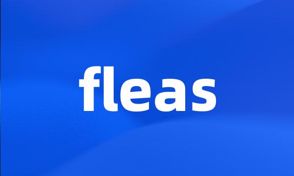 fleas