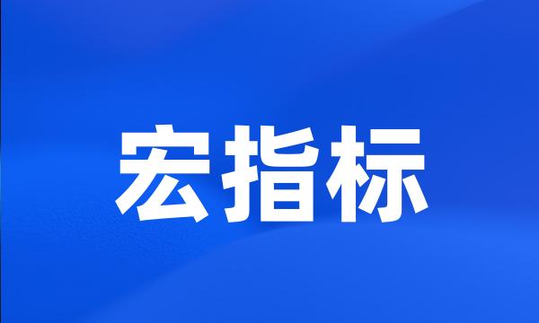 宏指标