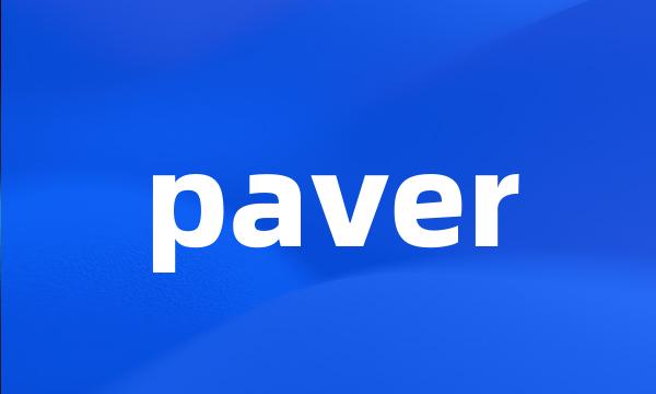 paver