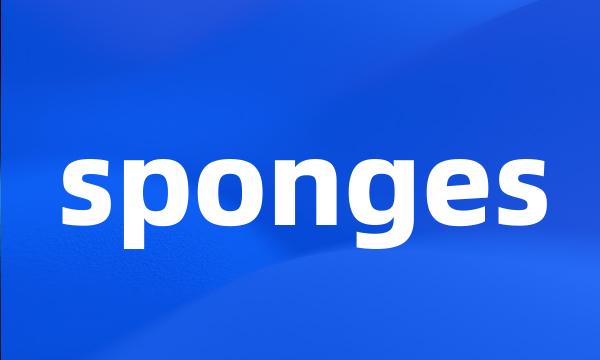 sponges