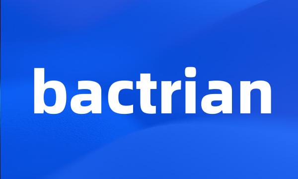 bactrian