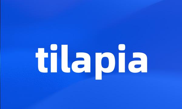 tilapia