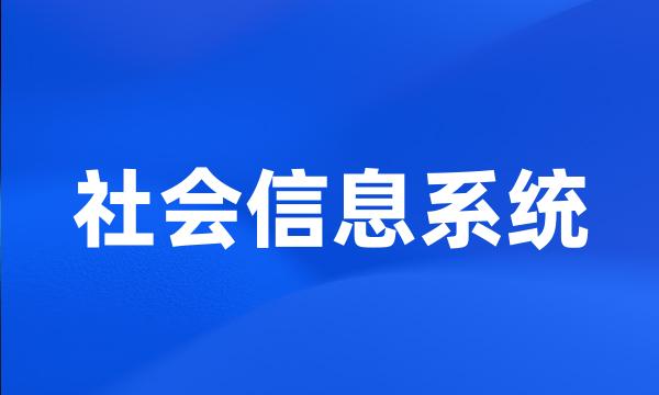 社会信息系统