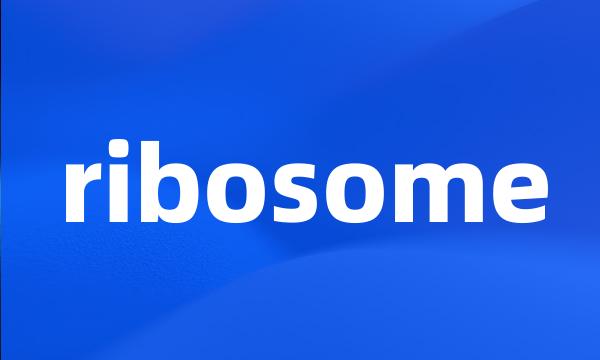 ribosome