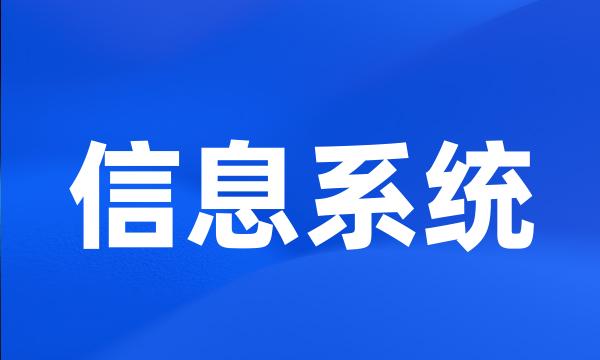 信息系统