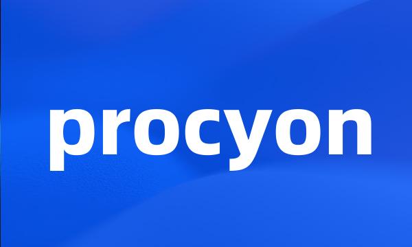 procyon