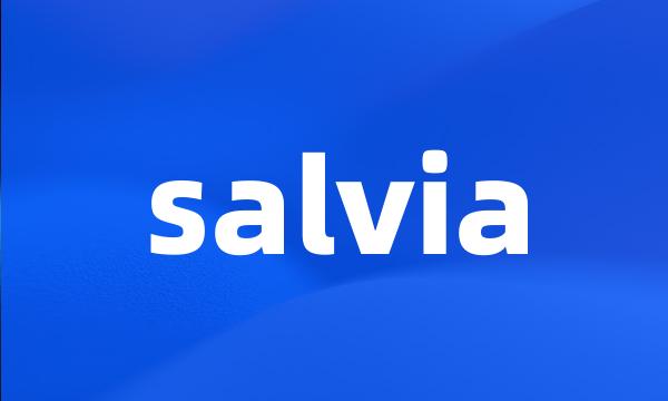 salvia