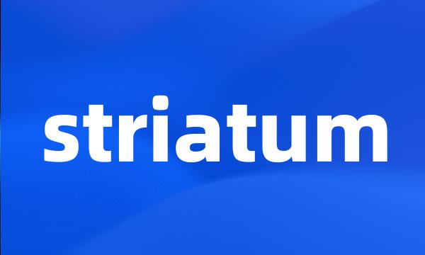 striatum