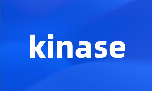 kinase