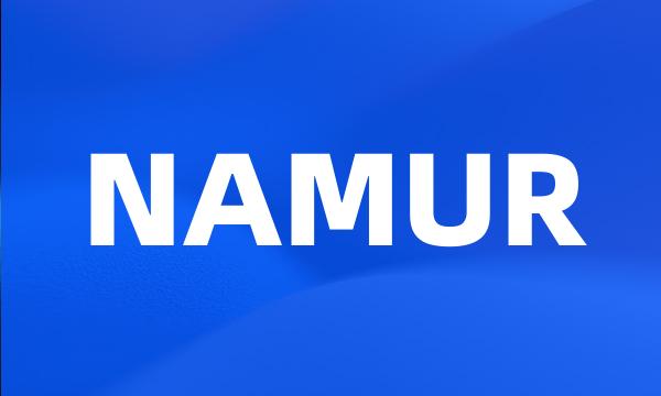 NAMUR