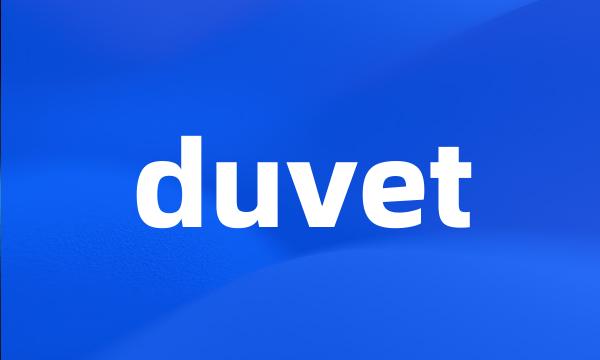 duvet