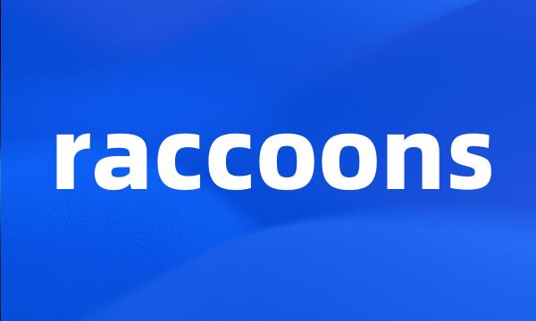 raccoons