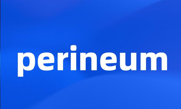 perineum