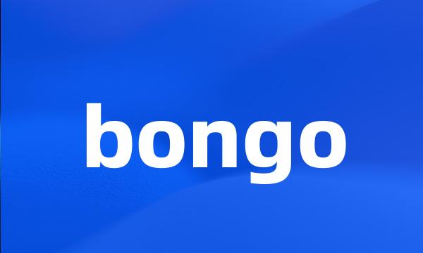 bongo