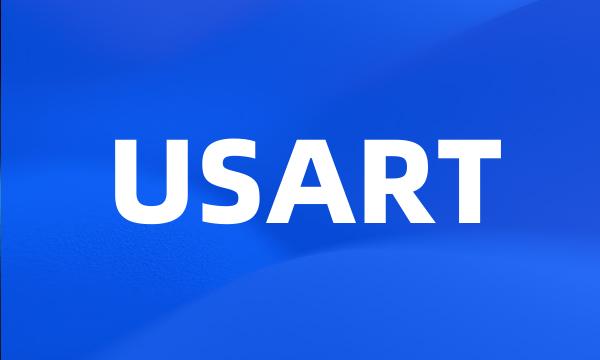 USART