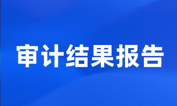 审计结果报告