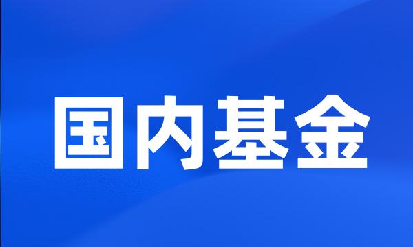 国内基金