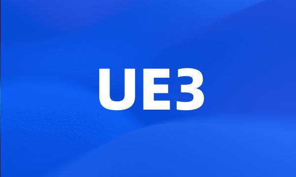 UE3